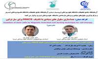 کارگاه  MAX